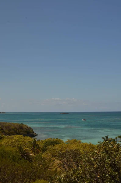 巴巴多斯沿海海岸线由海景 豆岛景观 晴天云彩组成 高质量的照片 — 图库照片