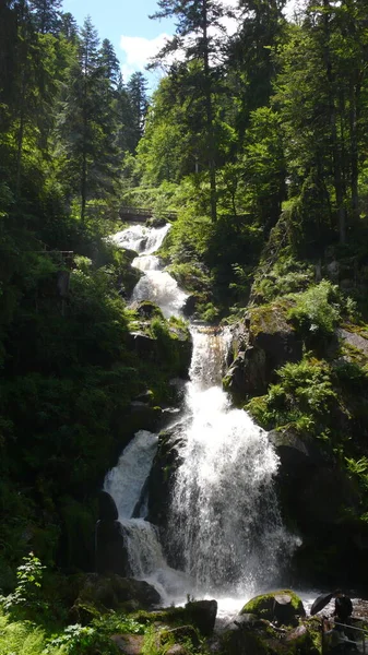 Germanys Maior Waterfalltriberg Cachoeira Floresta Negra Alemanha Floresta Big Blue — Fotografia de Stock