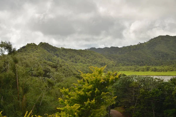 Granada Paisaje Caribe Isla Verde Naturaleza Selva Foto Alta Calidad —  Fotos de Stock