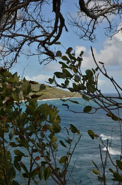グレナダ カリブ海グリーン島の海岸線 高品質の写真 — ストック写真