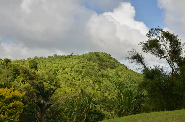 格林纳达景观加勒比绿岛丛林自然 高质量的照片 — 图库照片