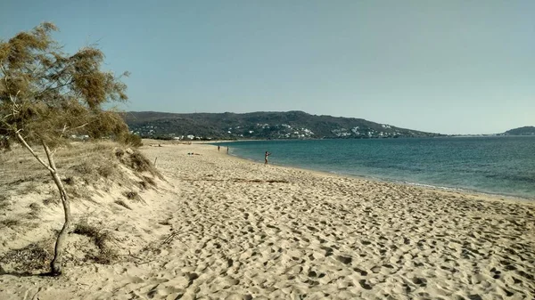 Playa Solitaria Paros Grecia Isla Mediterránea Del Egeo Foto Alta —  Fotos de Stock