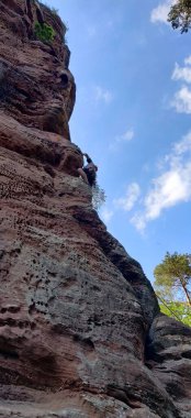 Platin kaplı Orman Pfalz Kaya Yazı Manzara Ormanı 'na tırmanıyor. Yüksek kalite fotoğraf