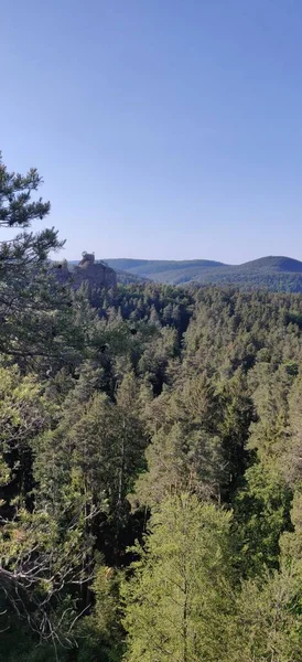 Πλατινωμένο Δάσος Pfalz Αναρρίχηση Θέα Δάσος Καλοκαίρι Υψηλής Ποιότητας Φωτογραφία — Φωτογραφία Αρχείου