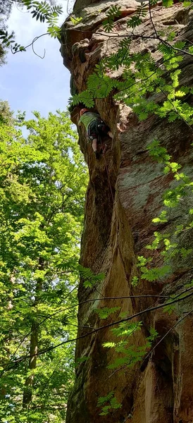 镀层森林法尔茨攀岩景观森林夏季 高质量的照片 — 图库照片