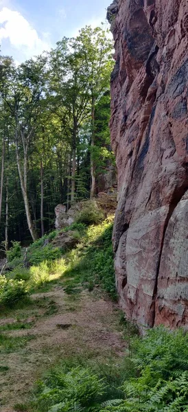 Platin Kaplı Orman Pfalz Kaya Yazı Manzara Ormanı Tırmanıyor Yüksek — Stok fotoğraf