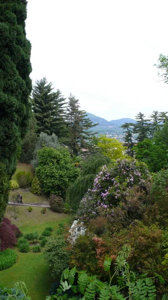 Jardin Parfaitement Rogné Italie Herbe Pelouse Buisson Arbre Photo Haute — Photo