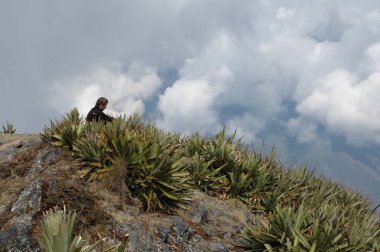 Andes Dağı manzaralı bitkiler ve soyut gökyüzü manzarası. Yüksek kalite fotoğraf