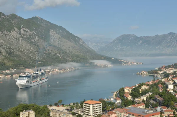 Costa Kotor Montenegro Por Crucero Panorama Verano Foto Alta Calidad —  Fotos de Stock