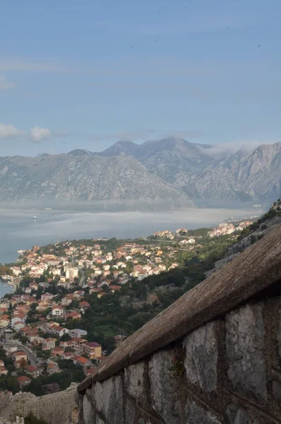 Küste Von Kotor Montenegro Mit Dem Sommerpanorama Des Kreuzfahrtschiffes Hochwertiges — Stockfoto