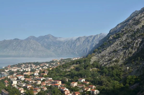 Costa Kotor Montenegro Por Crucero Panorama Verano Foto Alta Calidad —  Fotos de Stock