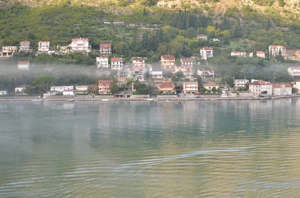 Wybrzeże Kotoru Czarnogóra Statkiem Wycieczkowym Letnia Panorama Wysokiej Jakości Zdjęcie — Zdjęcie stockowe