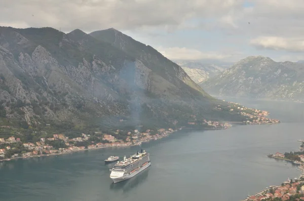 Küste Von Kotor Montenegro Mit Dem Sommerpanorama Des Kreuzfahrtschiffes Hochwertiges — Stockfoto