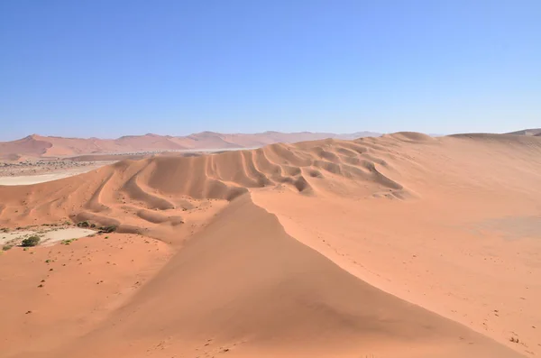 沙丘45的顶部大爸爸沙丘南非非洲蓝天沙丘 高质量的照片 — 图库照片