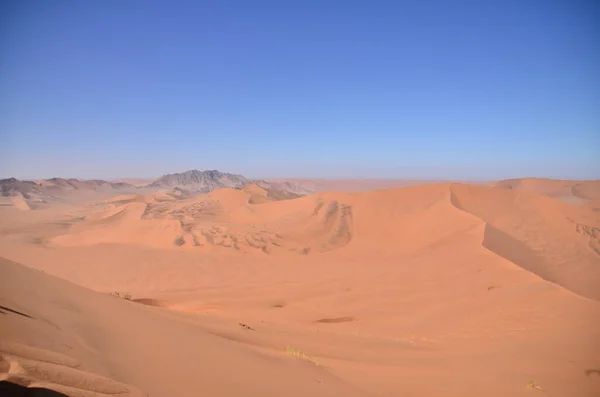 Κορυφή Του Dune Big Daddy Sand Dune Namibia Afrika Blue — Φωτογραφία Αρχείου