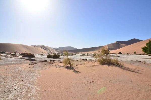 Deadvlei Sossusvlei Árboles Secos Sartén Desierto Sand Dunde Namibia Africa — Foto de Stock