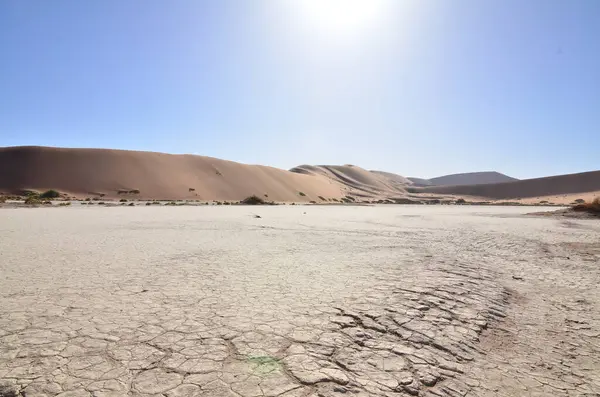 Deadvlei Sossusvlei Droge Pan Bomen Woestijn Zand Dunde Namibië Afrika — Stockfoto