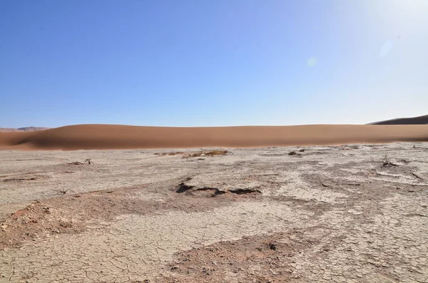 Deadvlei Sossusvlei Árboles Secos Sartén Desierto Sand Dunde Namibia Africa — Foto de Stock
