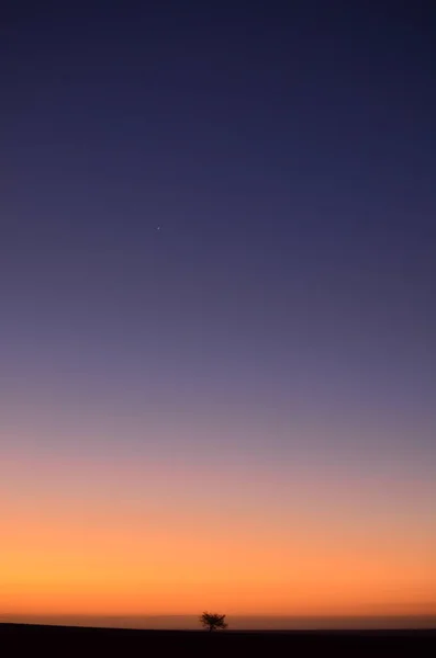 Lonely Tree Sunset Bunte Dark Sky Silhouette Mirabib Einsamen Malerischen — Stockfoto