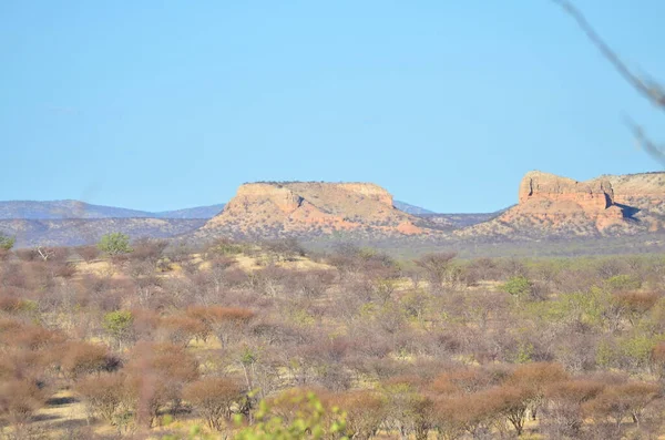 非洲乌加布谷地的西部野生岩石和山脉 高质量的照片 — 图库照片