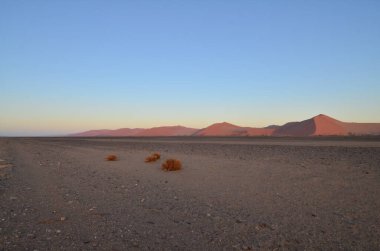 Sossusvlei 'nin namib çölünde gün batımı. Namib Naukluft Ulusal Parkı. Sossusvlei 'deki kum tepeleri. Namibya. Afrika. Yüksek kalite fotoğraf