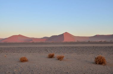 Sossusvlei 'nin namib çölünde gün batımı. Namib Naukluft Ulusal Parkı. Sossusvlei 'deki kum tepeleri. Namibya. Afrika. Yüksek kalite fotoğraf