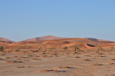 Sossusvlei 'nin tuzlu tepeciğinin manzarası. Namib Naukluft Ulusal Parkı. Sossusvlei 'deki kum tepeleri. Namibya. Afrika. Yüksek kalite fotoğraf