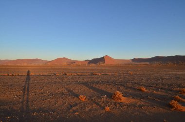 Kum tepesinden Sossusvlei 'nin tuz tepesine inanılmaz bir manzara. Namib Naukluft Ulusal Parkı. Sossusvlei 'deki kum tepeleri. Namibya. Afrika. Yüksek kalite fotoğraf