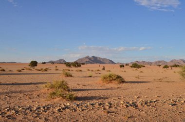 Kum tepesinden Sossusvlei 'nin tuz tepesine inanılmaz bir manzara. Namib Naukluft Ulusal Parkı. Sossusvlei 'deki kum tepeleri. Namibya. Afrika. Yüksek kalite fotoğraf
