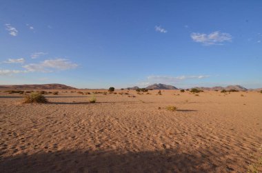 Kum tepesinden Sossusvlei 'nin tuz tepesine inanılmaz bir manzara. Namib Naukluft Ulusal Parkı. Sossusvlei 'deki kum tepeleri. Namibya. Afrika. Yüksek kalite fotoğraf