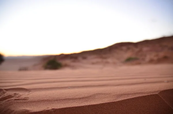 Dune Crest Sossusvlei Namib Naukluft Nationaal Park Zandduinen Pan Van — Stockfoto