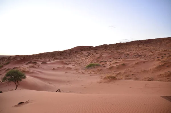 Geweldig Uitzicht Van Duin Naar Zoutpan Van Sossusvlei Namib Naukluft — Stockfoto