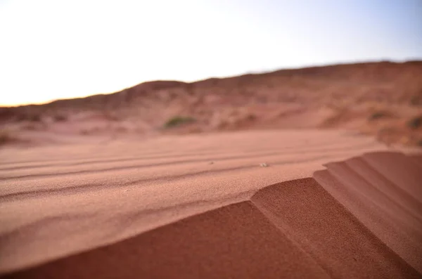 Dune Crest Sossusvlei Namib Naukluft National Park Sand Dunes Pan — Stock Photo, Image
