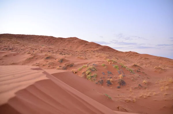 Dune Crest Sossusvlei Namib Naukluft National Park Sanddyner Pannan Sossusvlei — Stockfoto