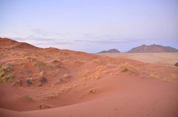 从沙丘到Sossusvlei盐罐的壮观景色 纳米比亚Naukluft国家公园 Sossusvlei锅里的沙丘 纳米比亚 高质量的照片 — 图库照片