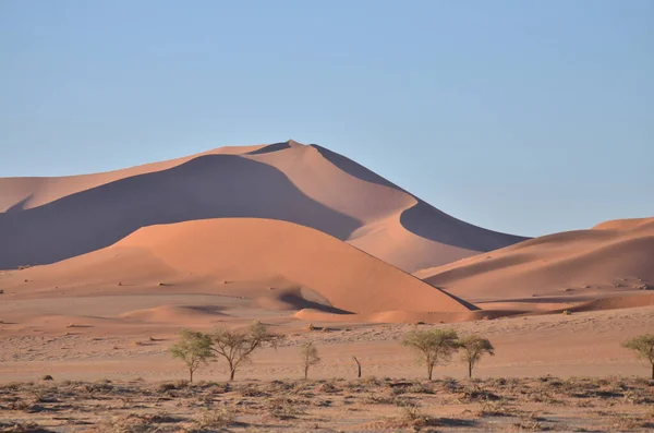 Tájkép Dűnékkel Sossusvlei Sós Serpenyőjéhez Namib Naukluft Nemzeti Park Homokdűnék — Stock Fotó