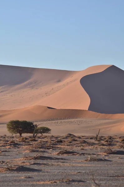 Landschaft Mit Dünen Bis Zur Salzpfanne Von Sossusvlei Namib Naukluft — Stockfoto
