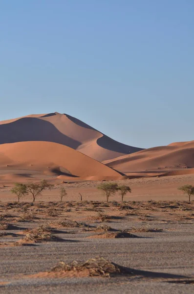 Landschap Met Duinen Naar Zoutpan Van Sossusvlei Namib Naukluft Nationaal — Stockfoto