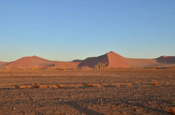 Amazing View Dune Salt Pan Sossusvlei Namib Naukluft National Park — Stock Photo, Image
