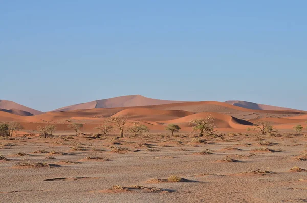 Landskap Med Sanddyner Till Saltpannan Sossusvlei Namib Naukluft National Park — Stockfoto