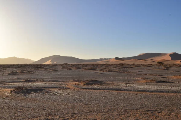 Sossusvlei 'nin tuzlu tepeciğinin manzarası. Namib Naukluft Ulusal Parkı. Sossusvlei 'deki kum tepeleri. Namibya. Afrika. Yüksek kalite fotoğraf