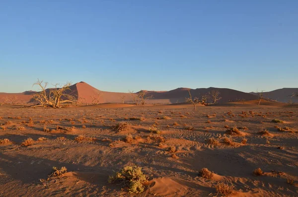 Csodálatos Kilátás Dűnétől Sossusvlei Sós Serpenyőjéig Namib Naukluft Nemzeti Park — Stock Fotó