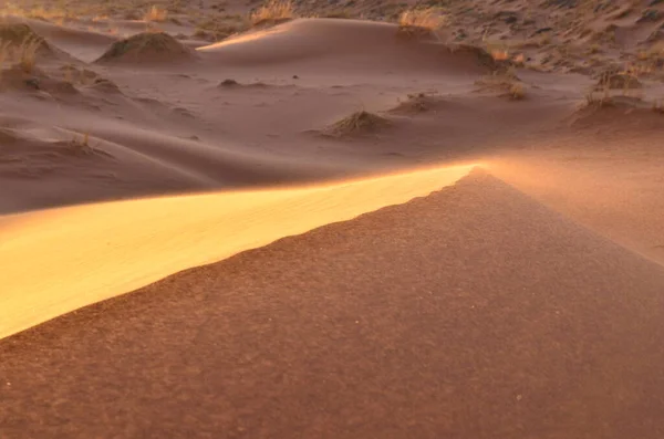 Dune Crest Στο Sossusvlei Εθνικό Πάρκο Ναμίμπ Νάκλαφτ Αμμόλοφοι Στο — Φωτογραφία Αρχείου