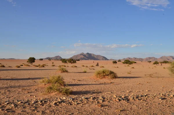 Vista Incrível Duna Para Panela Sal Sossusvlei Parque Nacional Namib — Fotografia de Stock