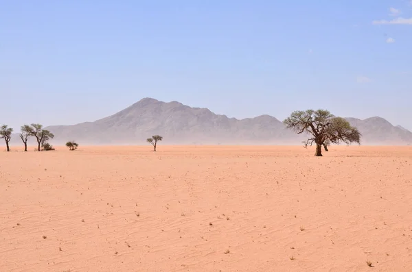 Woestijn Van Sossusvlei Namib Naukluft National Park Namibië Blauwe Hemel — Stockfoto