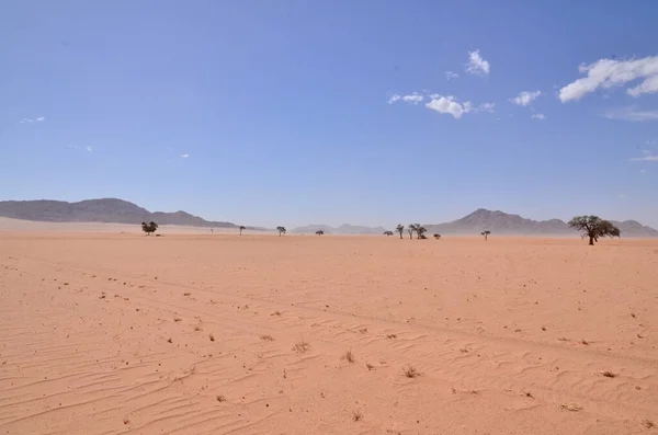 Woestijn Van Sossusvlei Namib Naukluft National Park Namibië Blauwe Hemel — Stockfoto