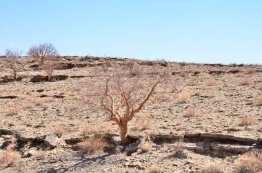 Aus dağlarının manzarası, Namibya, Afrika 4x4. Yüksek kalite fotoğraf