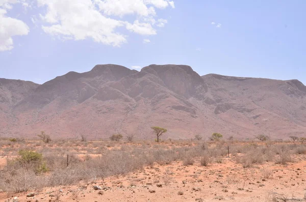 Landschap Met Blauwe Lucht Damaraland Namibia Afrika Hoge Kwaliteit Foto — Stockfoto
