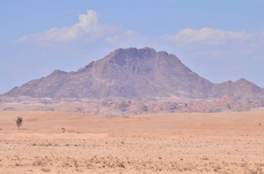 Namibya Afrika 'da Stone Desert Panorama Arkaplanı. Yüksek kalite fotoğraf