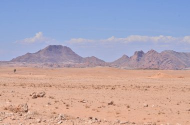 Namibya Afrika 'da Stone Desert Panorama Arkaplanı. Yüksek kalite fotoğraf